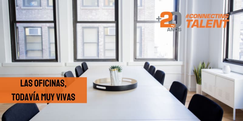 offices-alive-workspace-table-meetings-office-newtandem-consulting-selection-connectingtalent