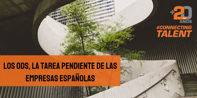 ods-empresas-agenda-2030-empresas-españolas-tareas-plan-newtandem