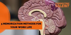 Memorization methods are a good tool to exercise our brain, whose parts we can see in this picture.