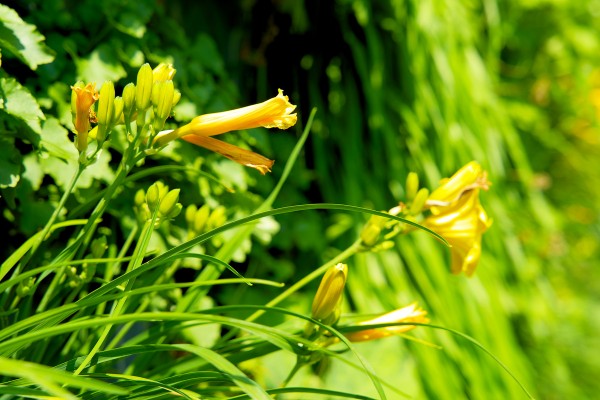 climate-adaptation-sustainability-2025